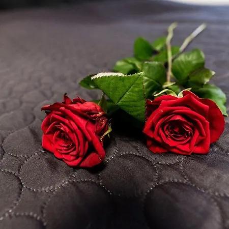 Feriehus Rosenchalet