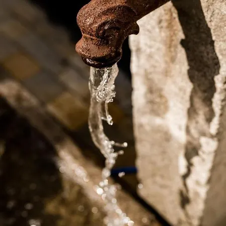 Rosenchalet * Leinach