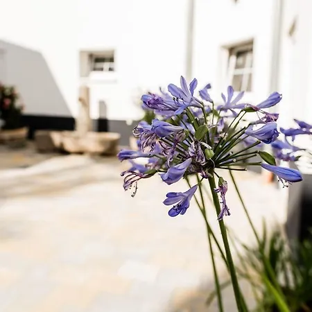 Rosenchalet بيت للعطل *