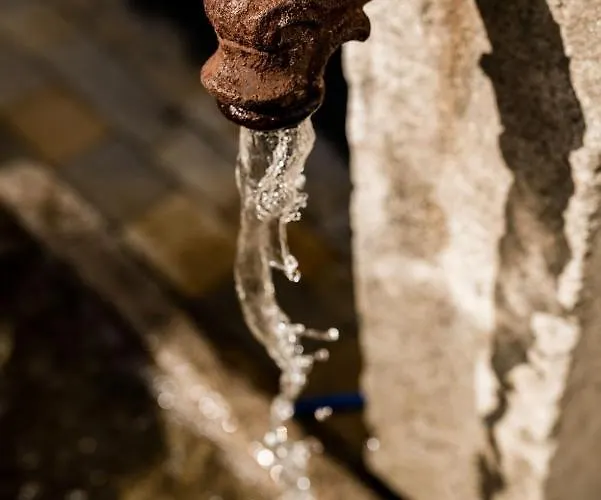 Rosenchalet * Leinach