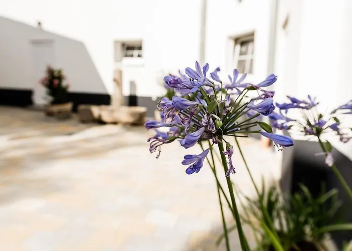 Rosenchalet Casa de Férias *